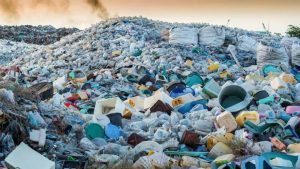 Punjab govt imposes heavy fine for throwing waste