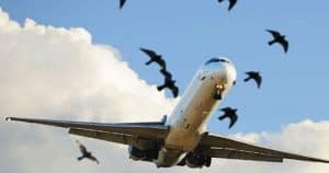 Indian airlines fear shutdown amid massive increase in petrol prices