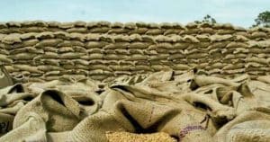 Farmers face uncertainty as Pakistan delays wheat price announcement