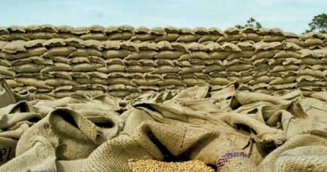 Farmers face uncertainty as Pakistan delays wheat price announcement