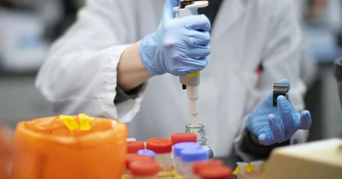 Scientists revive cells & organs in dead pigs