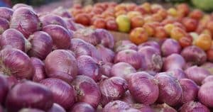 Pakistan to import onions, tomatoes from Iran & Afghanistan