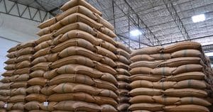 India's rice exports set to fall 25% as levy make shipments expensive