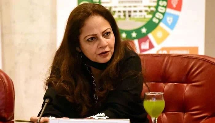 No risk of default, remittances pouring into Pakistan, Aisha Ghaus tells NA