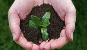 Pakistan's tea imports increase by 2.21% to $192 million during 4MFY23