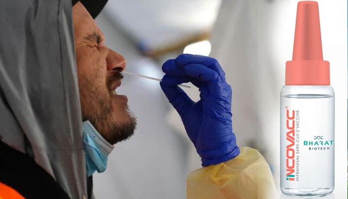 India launches 'first nasal' COVID vaccine