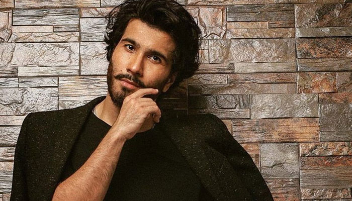 Feroze Khan fuels divorce speculation by deleting wedding photos with Zainab