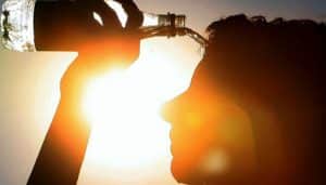 France heat wave: Over 900 people dead in just 5 days