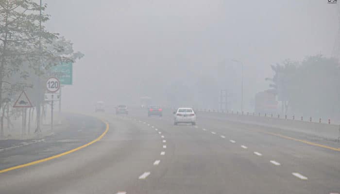 Fog