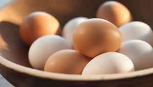 Eggs