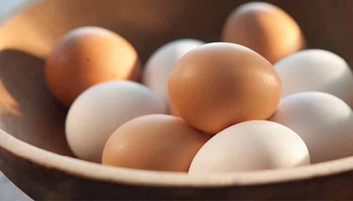 Eggs