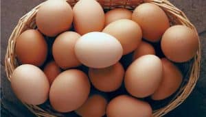 eggs
