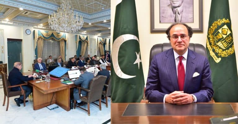 Muhammad Aurangzeb gets Pakistani citizenship