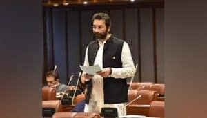 Pakistani Senator Faisal Saleem Rahman Joins IMF & World Bank Board