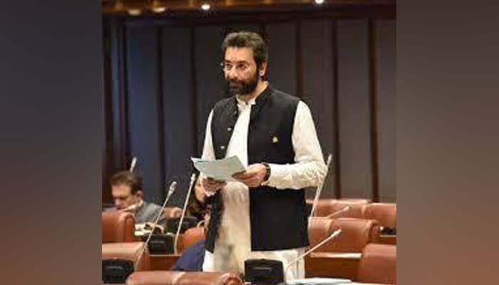 Pakistani Senator Faisal Saleem Rahman Joins IMF & World Bank Board