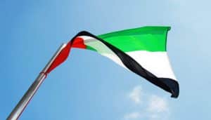 UAE resident wins record 100 million Dirham lottery jackpot