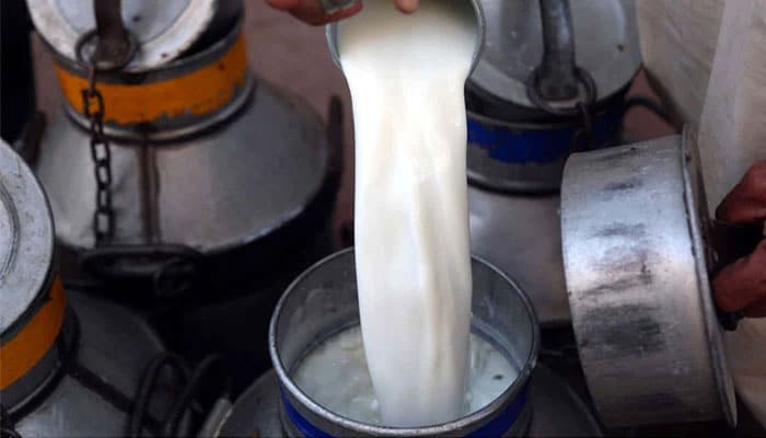 Punjab Food Authority seals shops in Rawalpindi selling water-mixed milk