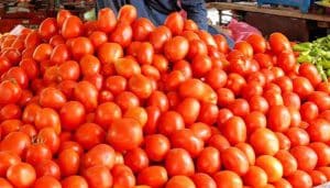Tomatoes prices soar massively across Pakistan