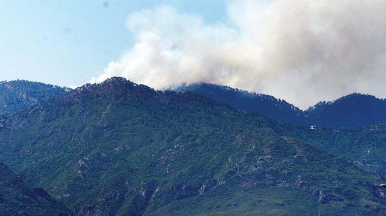 Fire erupts at multiple spots in Islamabad Margalla hills