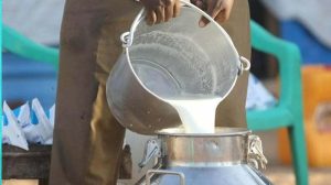 Milk yogurt prices in Lahore