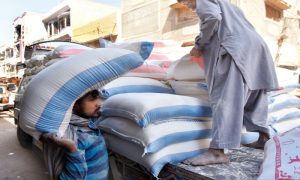 Flour prices surge across Pakistan after new wheat crop arrival