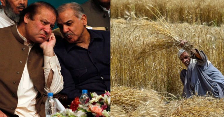 PML-N leadership to consult over wheat crisis