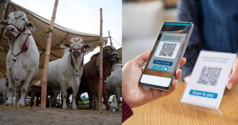 QR code payment for animals purchase