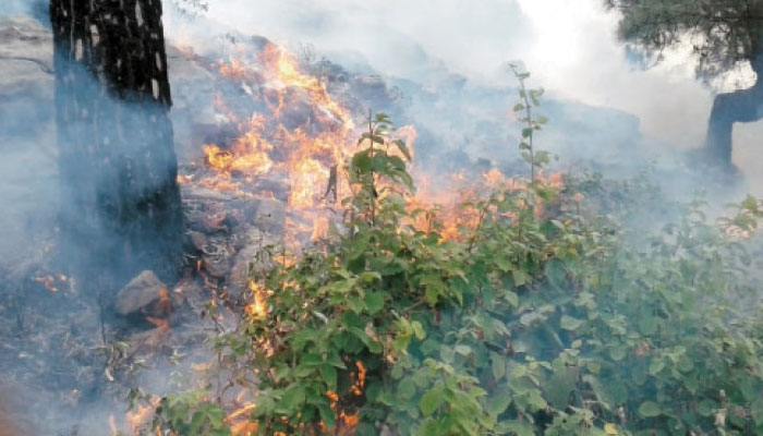 CDA teams engaged in extinguishing Margalla fire