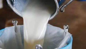Court declares Karachi's milk 'unsafe' for human consumption