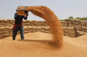 KP Food Department seeks immediate wheat supply from PASCO