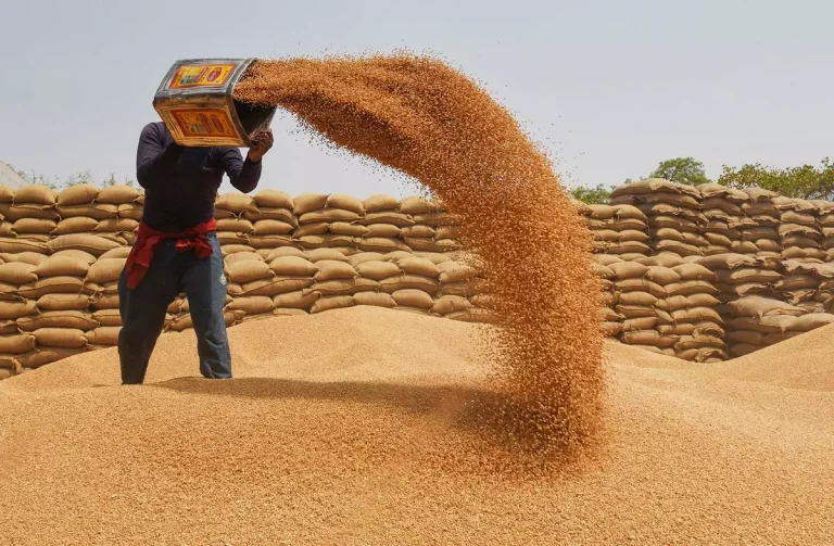 KP Food Department seeks immediate wheat supply from PASCO