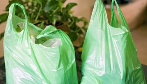 Punjab imposes ban on thin plastic bags to protect environment
