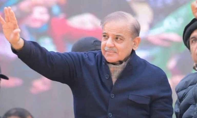 Shehbaz Sharif nominated interm PML-N's president