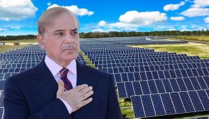 Federal Ministry unveils plan to solarize Islamabad Primary Schools: Details inside