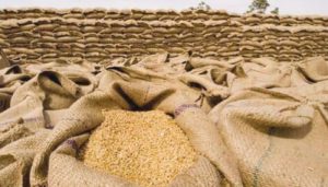 Punjab unveils Rs5,000 per acre support for wheat farmers