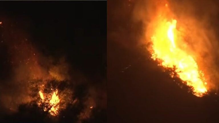 Murree, Galyat forests under threat as fire continues to spread