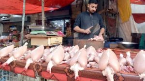 Chicken prices increased in Punjab