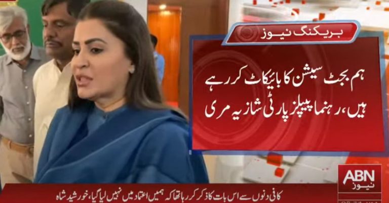 PPP decides to 'boycott' budget session today