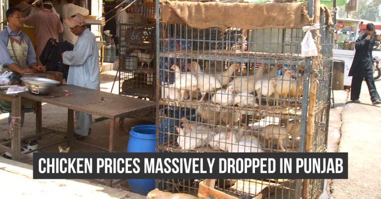 Chicken prices in Punjab June