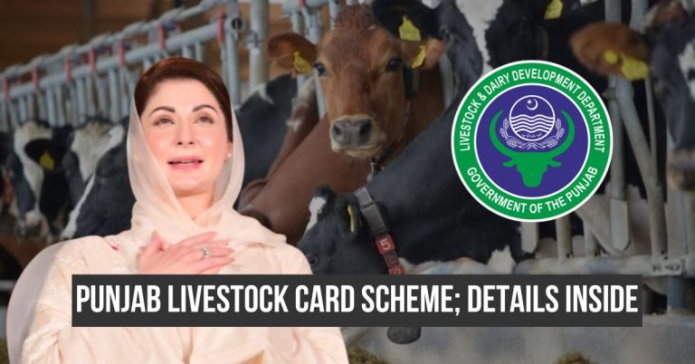 Punjab Livestock Card scheme