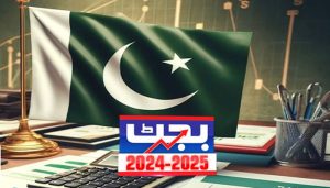 Budget 2024-25: Govt proposes 5% FED on sale & purchase of new plots, properties