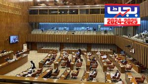 Finance Bill 2024-25: Senate recommends Rs 45,000 minimum wage