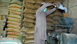 Flour mills association announces countrywide shutdown from July 11: Here’s why