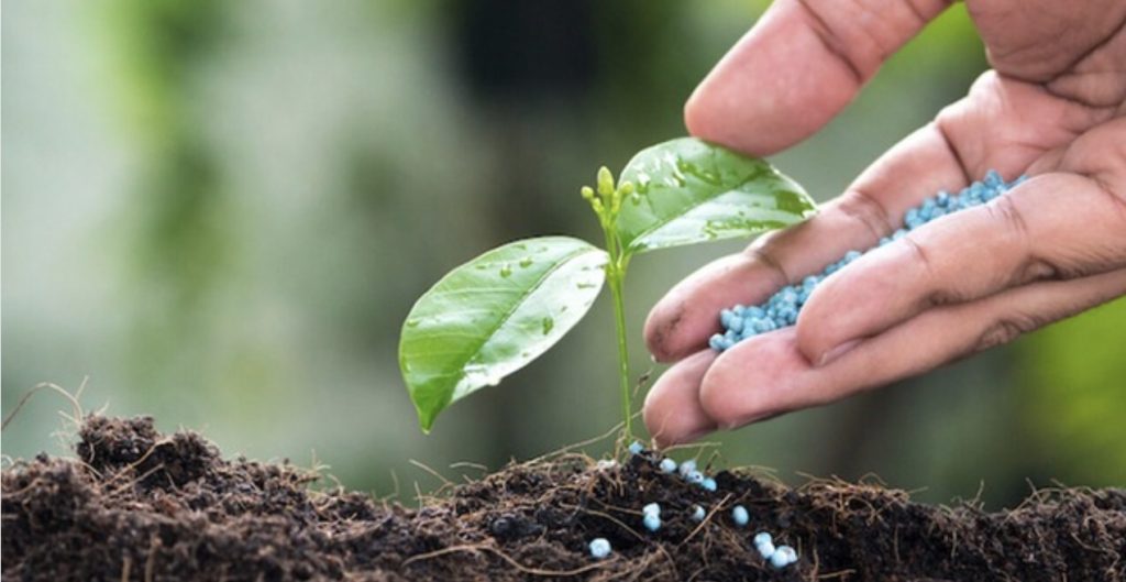 Fauji Fertilizer increases price of Urea by Rs 125 per bag