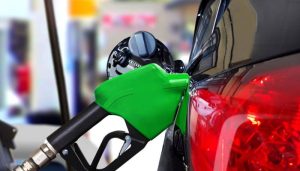 Fuel reserves stand at 12 days for crude, 25 days for diesel: Finance Ministry