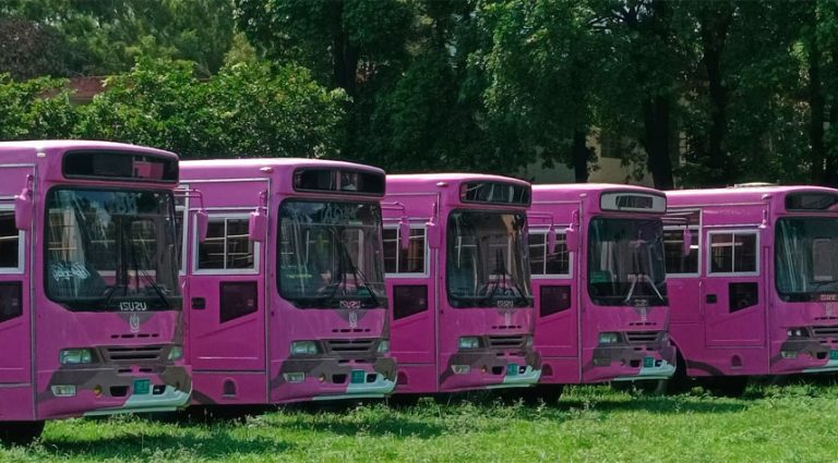 Pink bus service designated routes announced