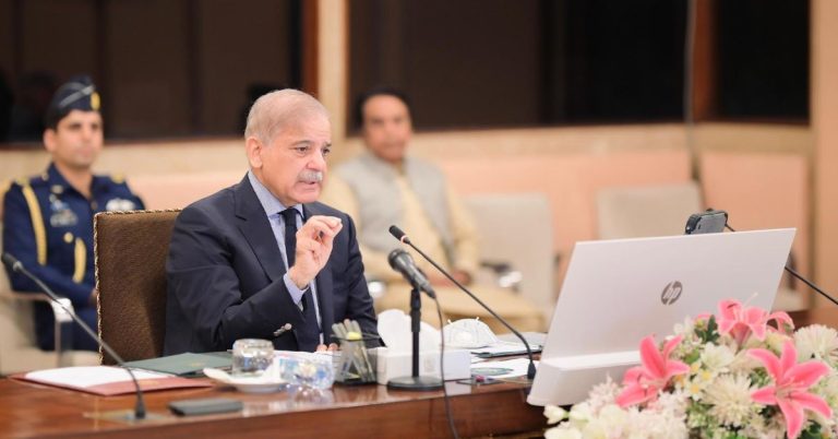 PM expresses satisfaction over PIA privatization, economic progress