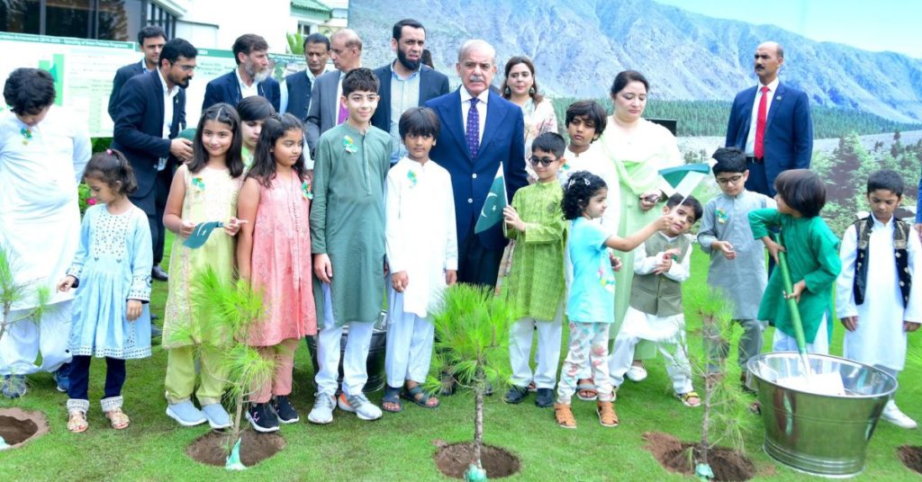monsoon tree plantation