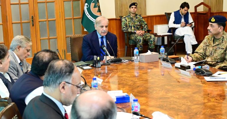 PM Shehbaz constitutes special task force to curb violence