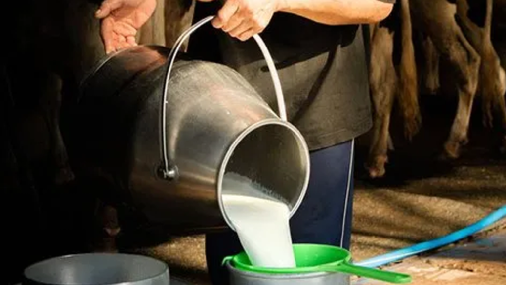 Karachi: Dairy farmers demand Rs100 per litre hike in milk price